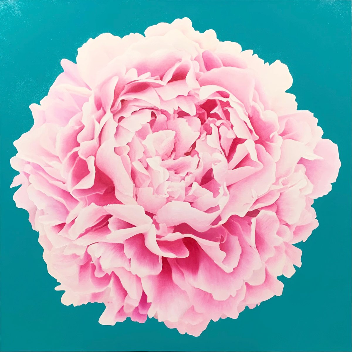 Photorealistic Botanical Oil Painting By Alla Kallass, 36 X 36, Pink Parfait. Peony., Original Artwork