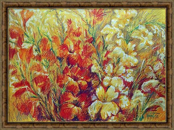 Gladiolus 2