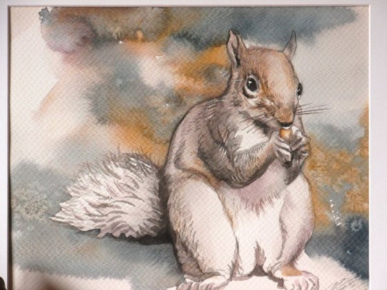 squirrel watercolor