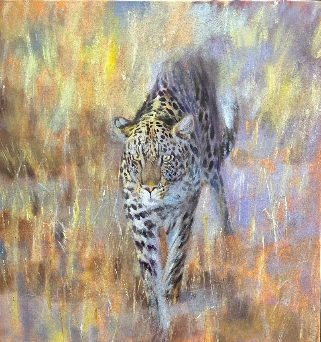 Photorealistic Animal Oil Painting By John Welsh, 28 X 30, Savuti Leopard At Dusk, Original Artwork