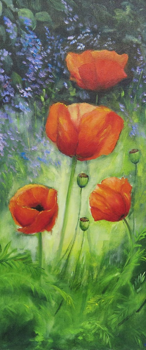 Poppies in my Garden by Maureen Greenwood