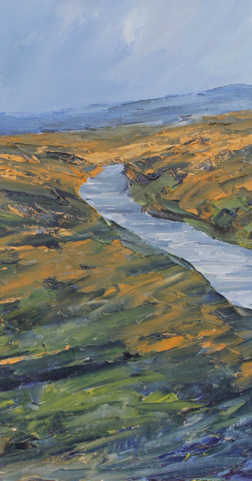 Wetland Stream, Ireland by John Halliday
