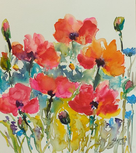 Poppies and daisies