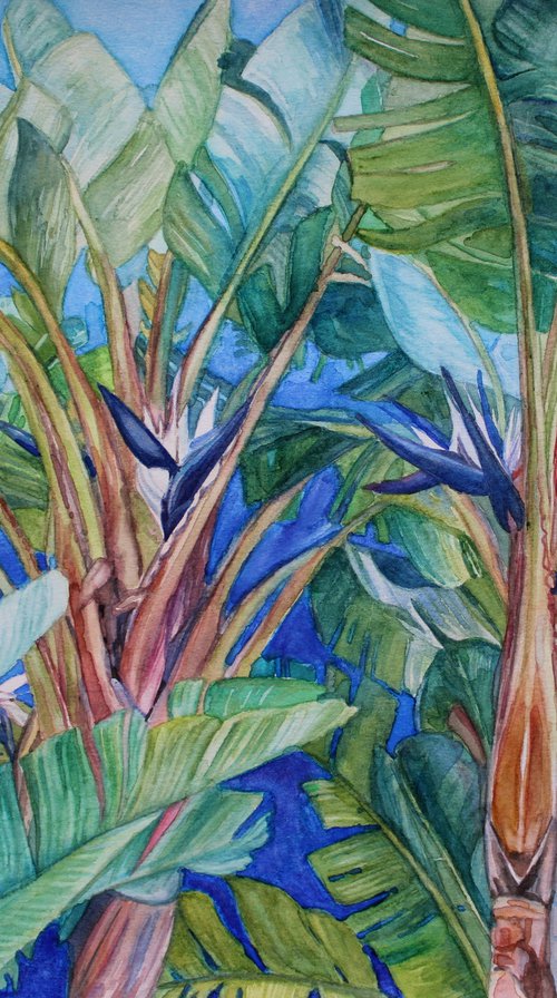 Tropical exotic palms by Rita.G.