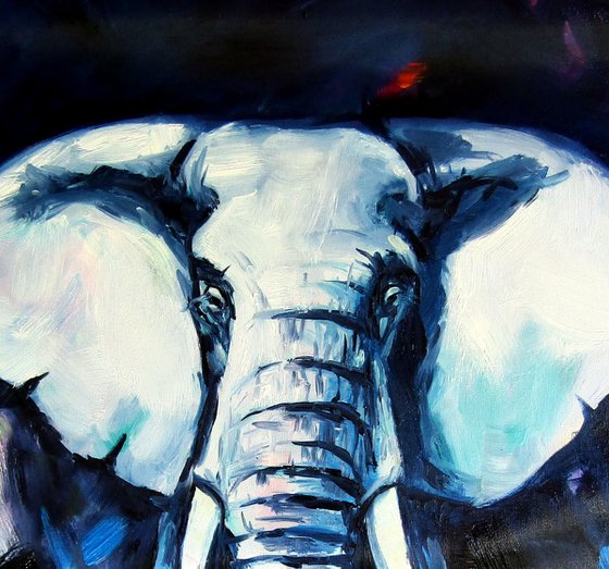 Majestic elephant at night