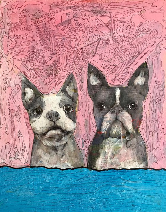 Two Boston terriers