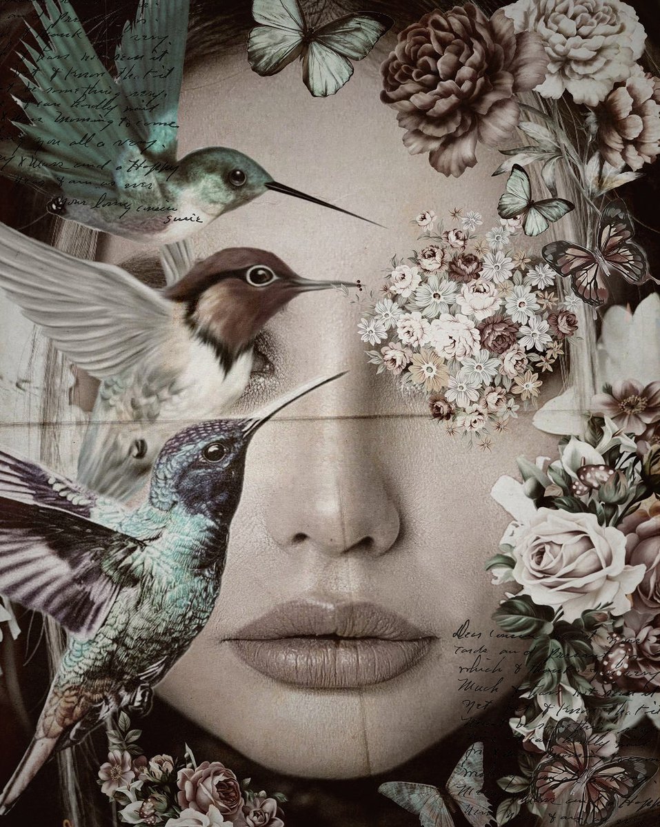 Lady Birds by Carmelita Iezzi