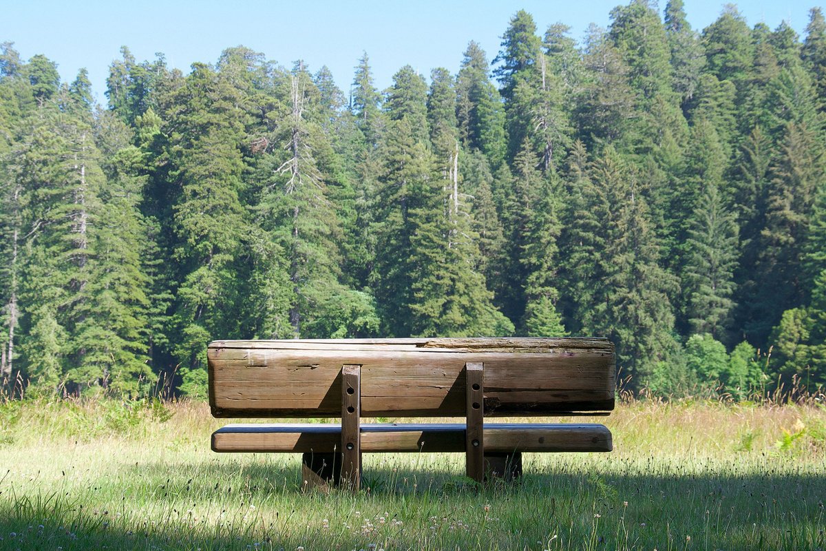 Surrealistic Landscape Photograph By Journey Gong, 25 X 17", Into The Woods, Original Artwork