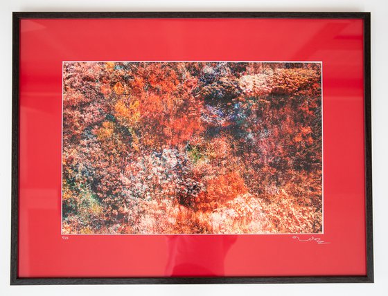 Wall of Nature LXVII (Framed)