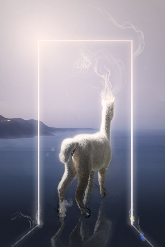 Alpaca Door