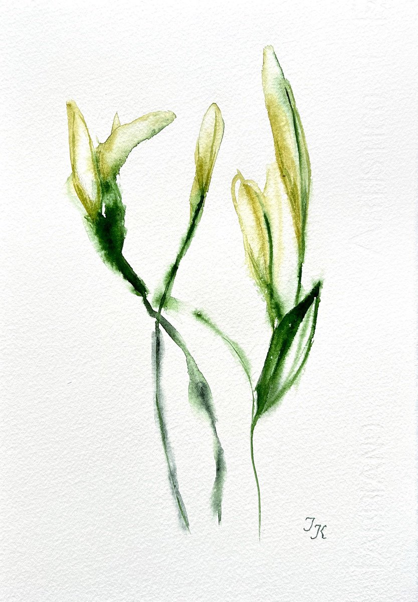 Organic Botanical Watercolour By Tetiana Kovalova, 7 X 11", White Flowers, Original Artwork