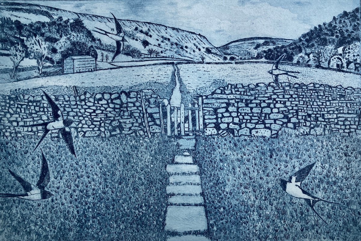 Illustrative Landscape Etchings & Engravings By Janis Goodman, 16 X 11, Hay Meadows - Muker, Swaledale, Original Artwork