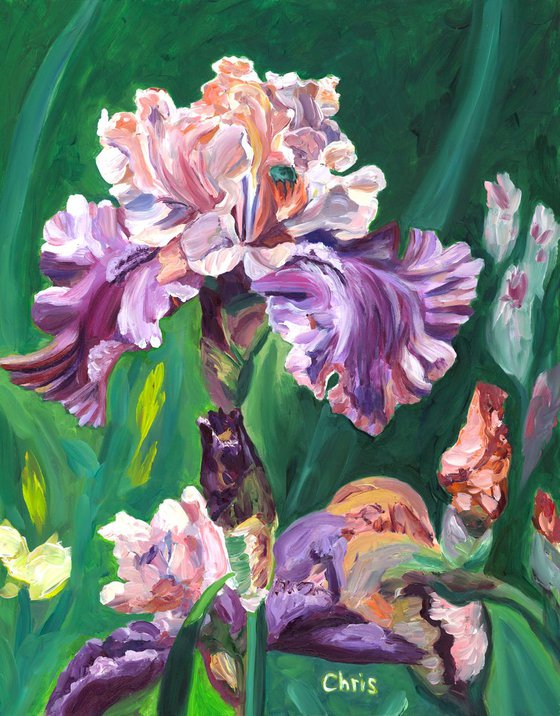 "Florentine Silk " Iris