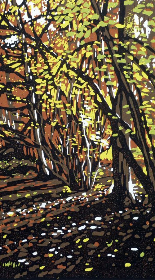 Autumn Colour at Stoke Wood by Alexandra Buckle