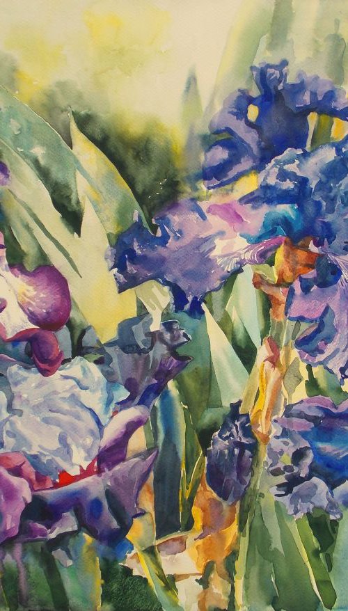 Irises in the garden #2 by Yurii Pashkov