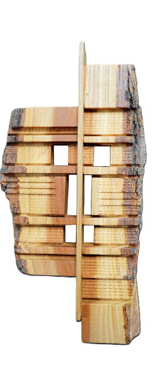 "Mask of Glamour" by Sava Draganov