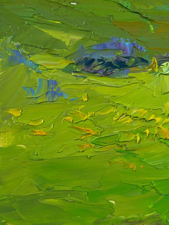 Mountain Flower Fields