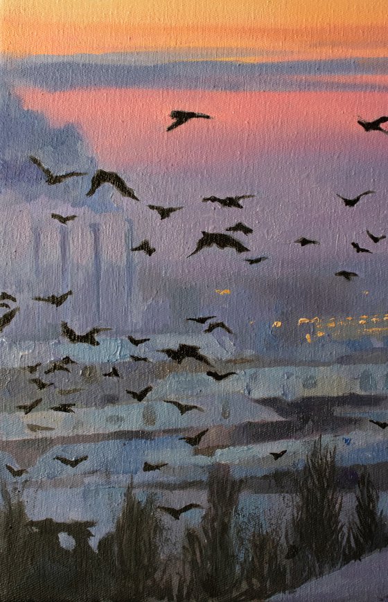 Flock at First Light