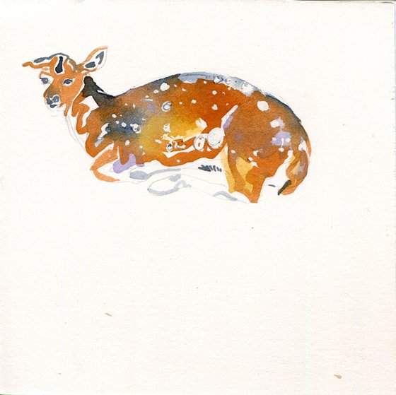 Deer original watercolour painting