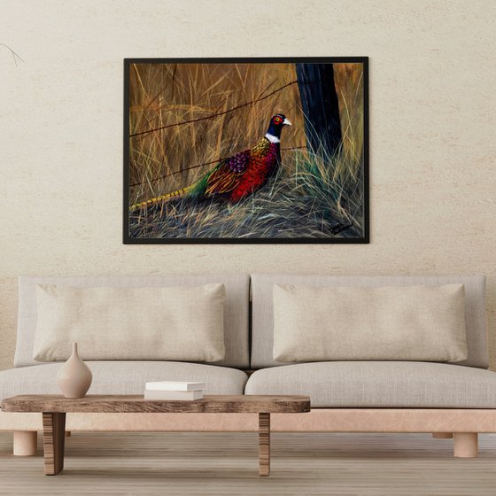 Fall Pheasant