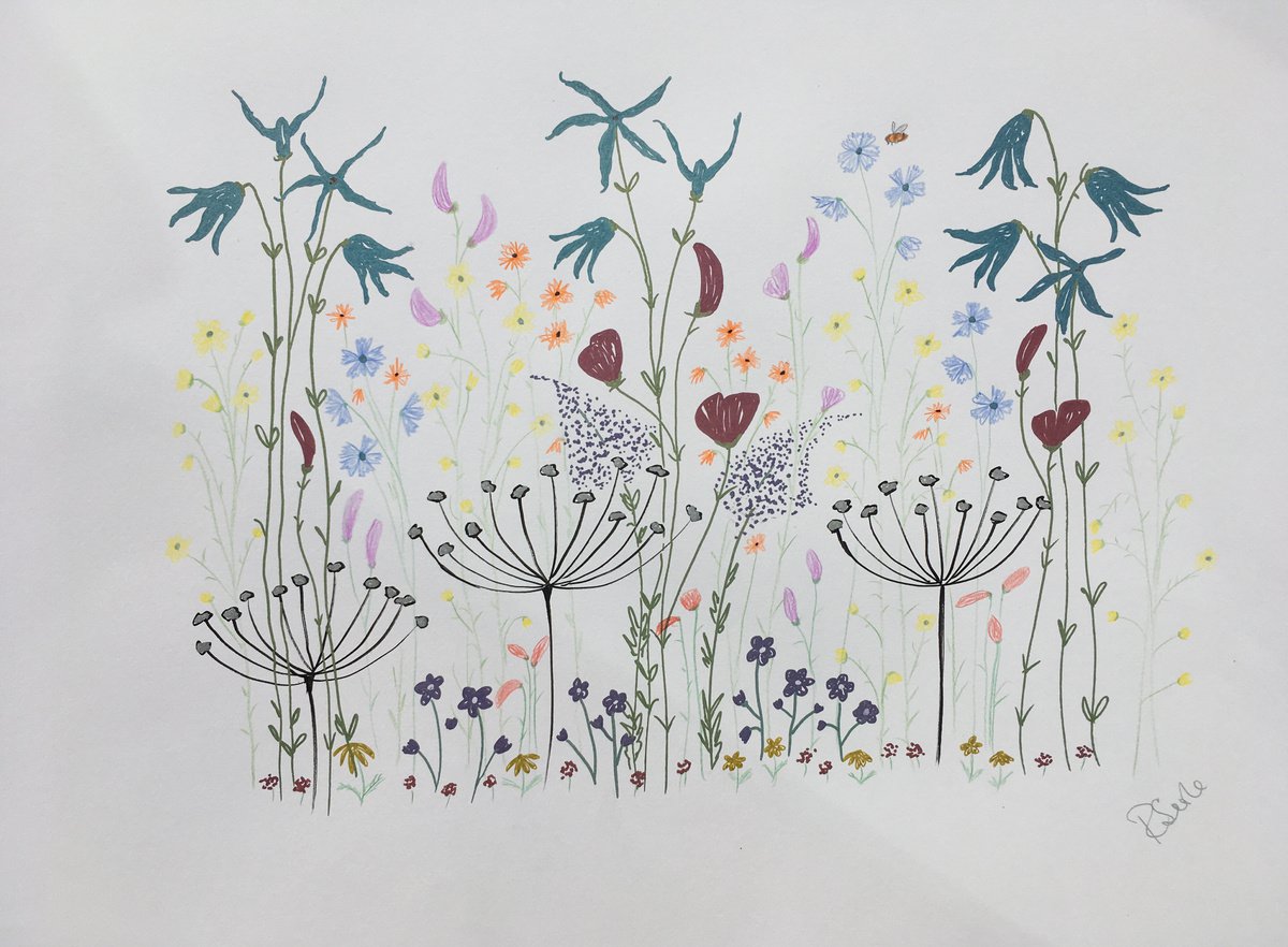 Large flower meadow by Ruth Searle