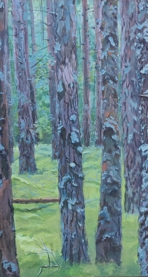 Mossy forest by Liza Nabokova