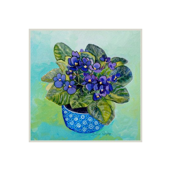 African Violets