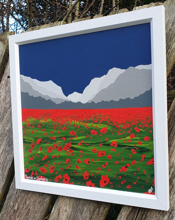 Poppies in Llanberis, The Lake District