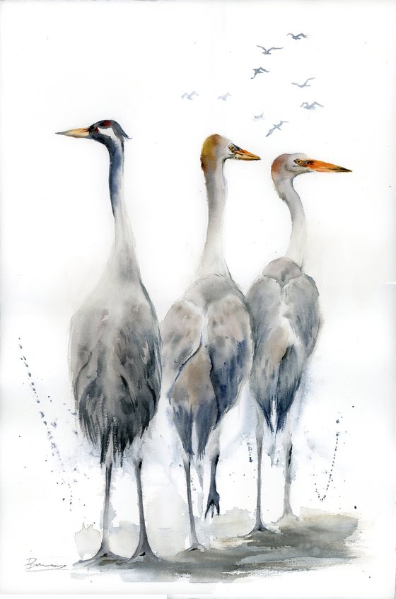 Three herons