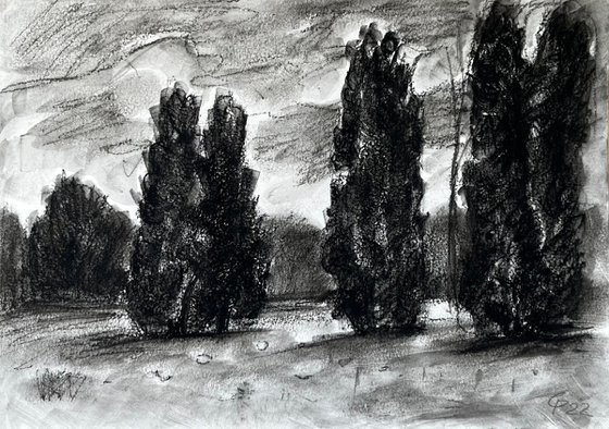 War trees, an original black white drawing, Ukrainian artwork