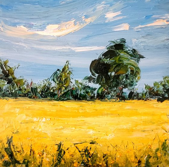 Golden fields of Summer