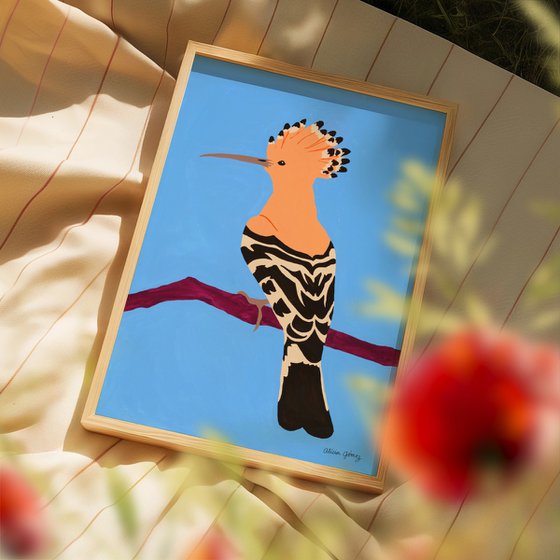 Hoopoe