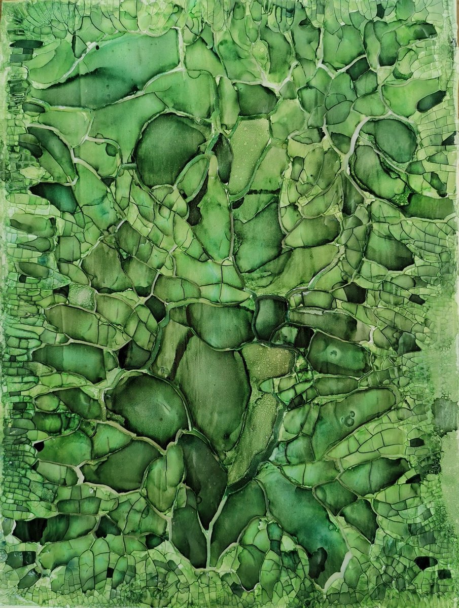 Moss No. 1 by Maximo Simon Walther