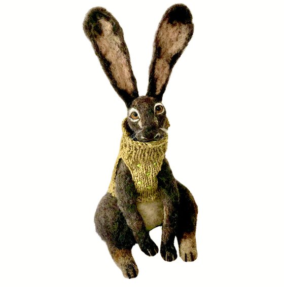 The hare in the green jumper