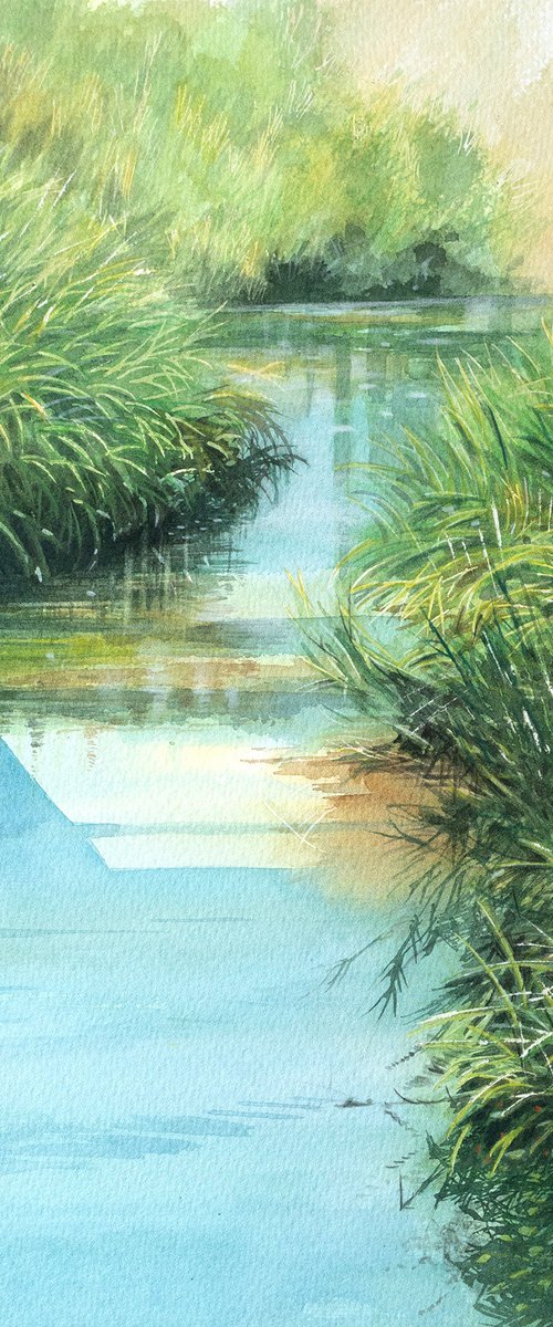 Peaceful Sunlit Stream by Masato Watanabe