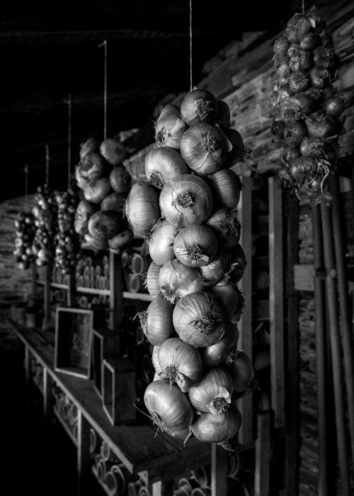 String of Onions by Stephen Hodgetts Photography