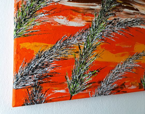 Grass In Brown Color