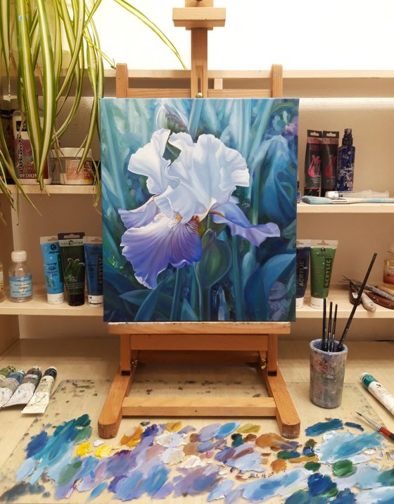 "Spring iris"