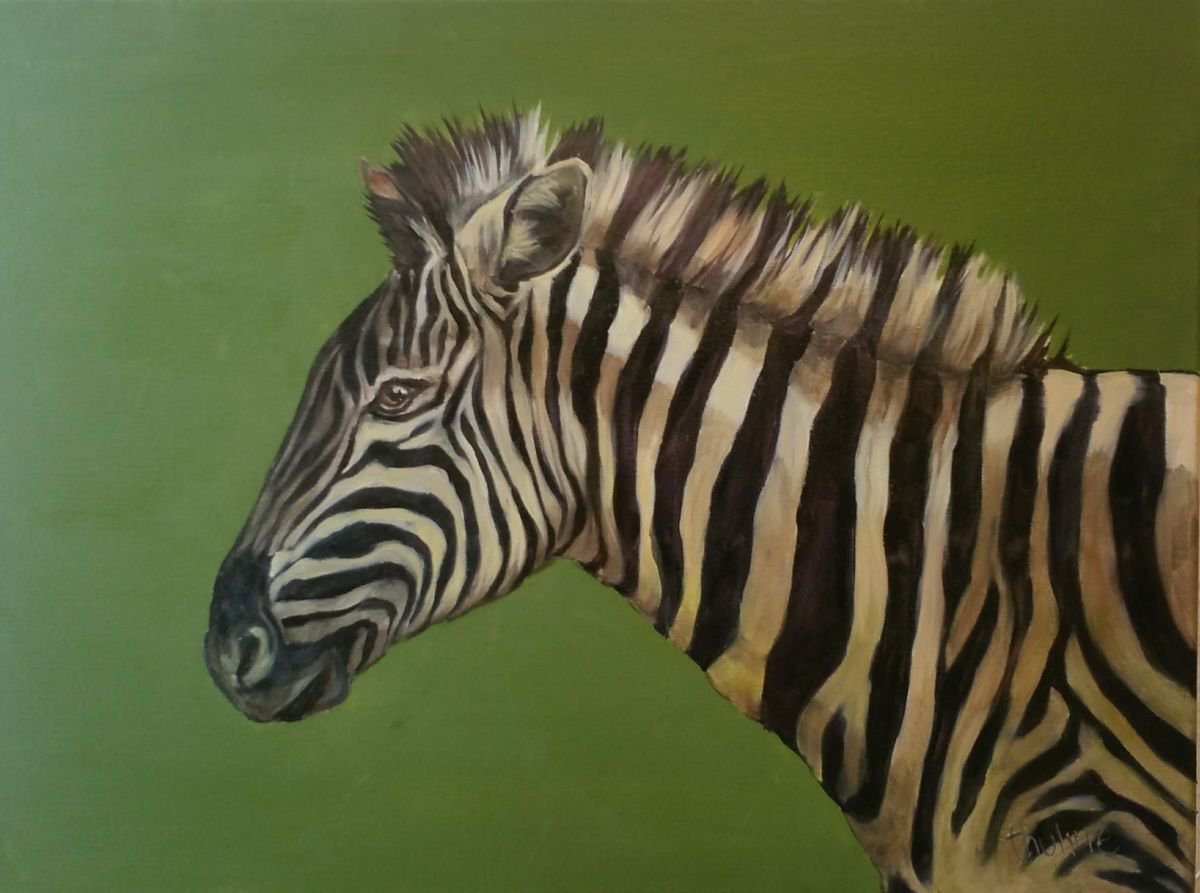 Zebra by Thuline De Cock