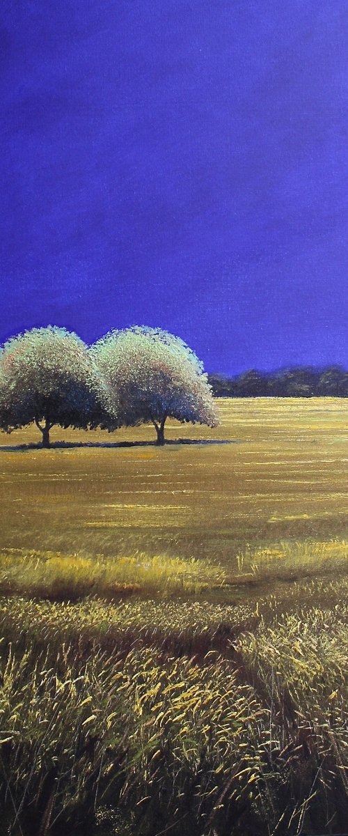 2 Trees Solaris Mons II by Simon Jones