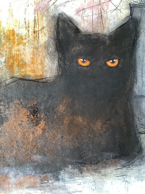 BLACK CAT