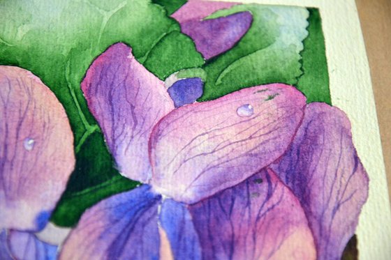 Spring Flowers3 - Violets