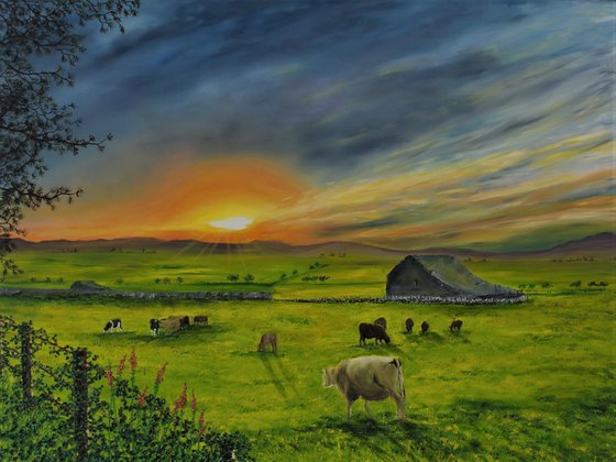 Sunset over the feilds of gwynedd  92cm x 122cm