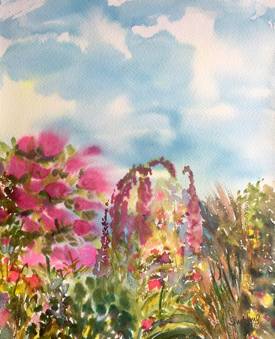 Blue sky, foxgloves, pink roses, grasses