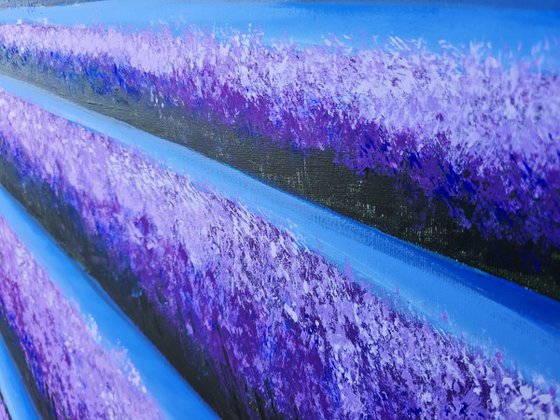 The simmetry of Provence X