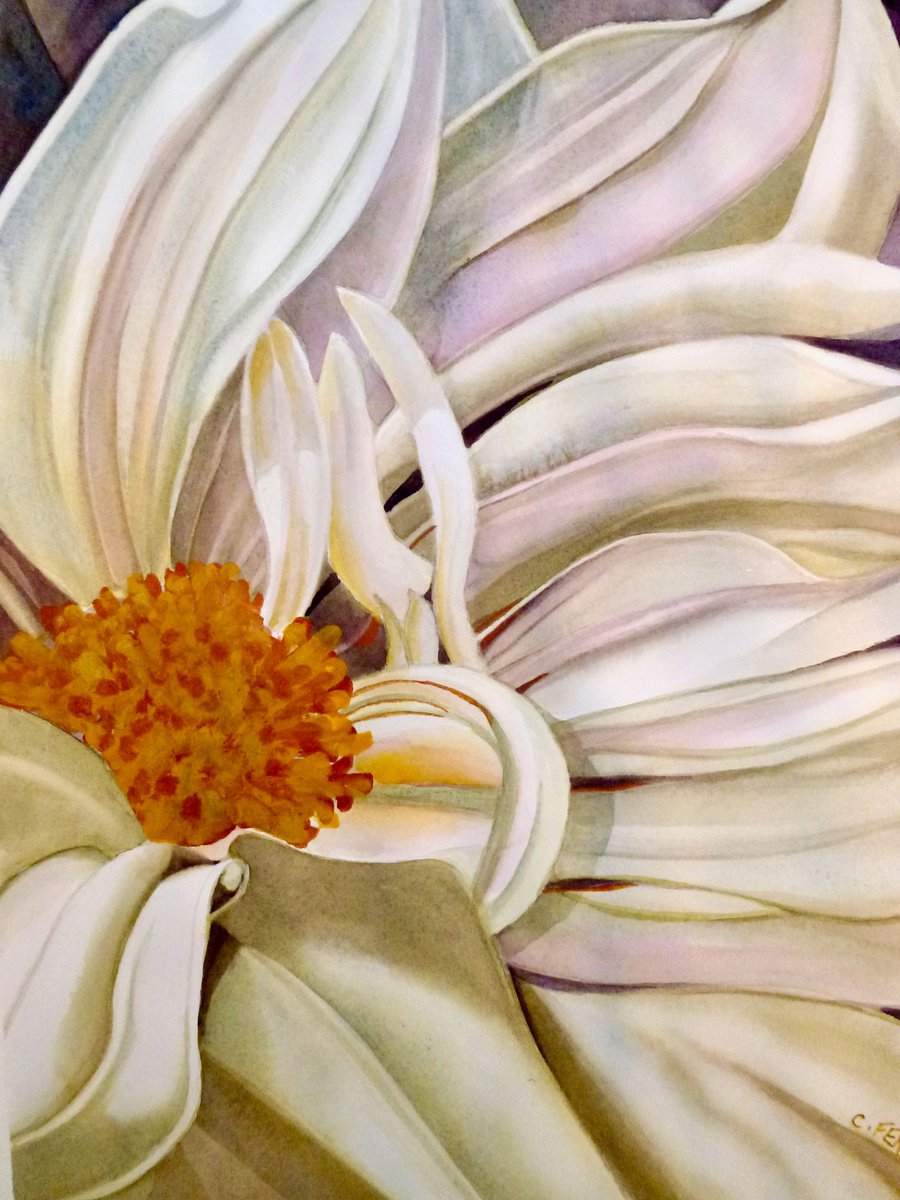 White Petals, Gold Centre by Cheryl Feragen
