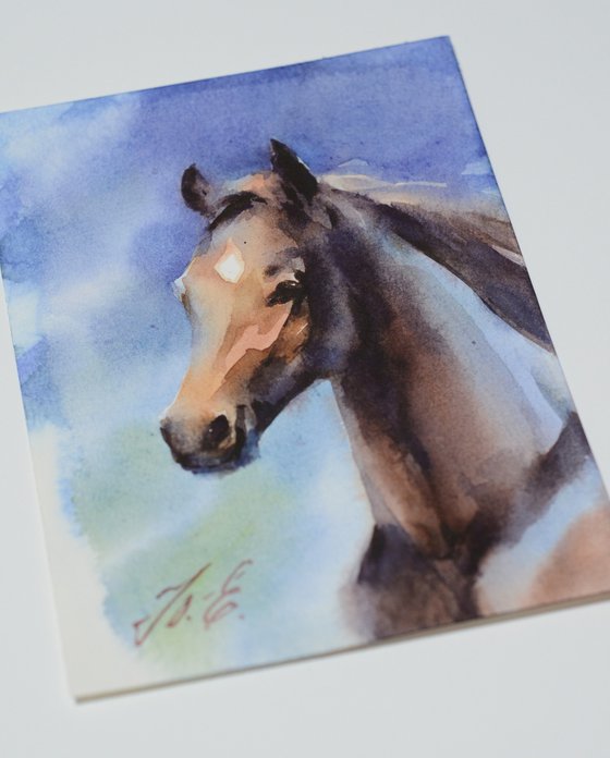 Small portrait of a brown horse in watercolor