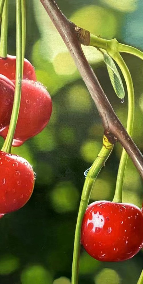 Cherry on the branches t226 by Kunlong Wang