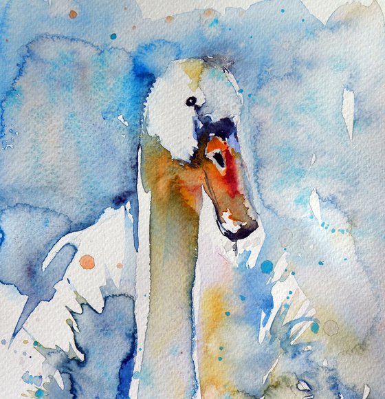 Swan
