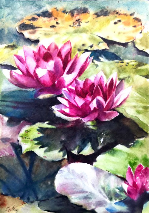 Lilies in the pond by Monika Jones